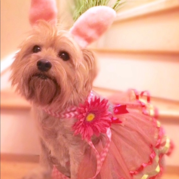 Caroline & Daisy 💕🐶 💕 - Picture 3 of 8